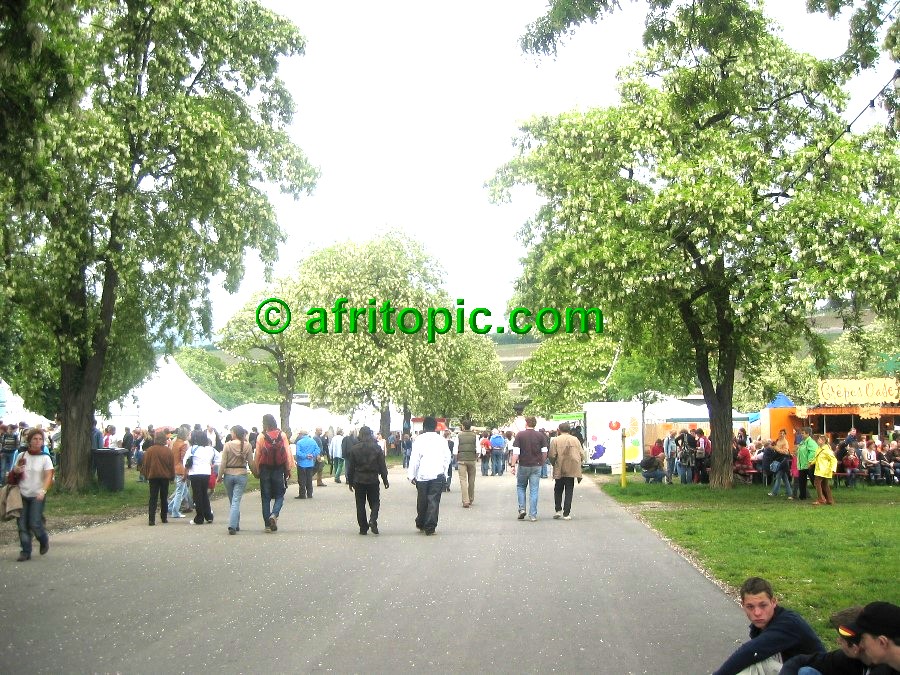 ../Images/afw2006d 260.jpg